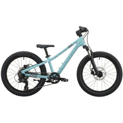 Scott Roxter 200