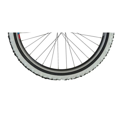 Cube Kids 200 20 inch Tyre