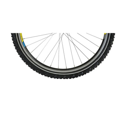 Cube Kids 240 24 inch Tyre