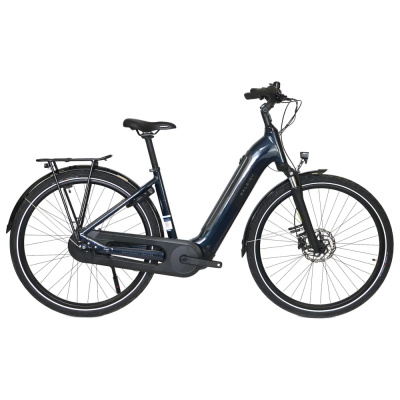 Ex Demo Raleigh Motus Hub Low Step 2026 Electric Hybrid Bike