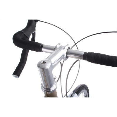Genetic AQ Road Stem