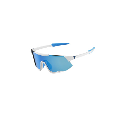Giant Lumea Polarvis Sunglasses