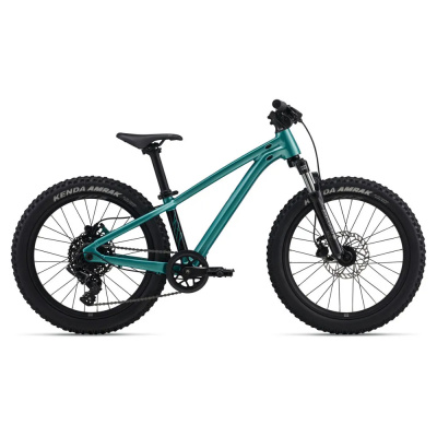Giant STP 20 FS 20w 2026 Kids Jump Bike