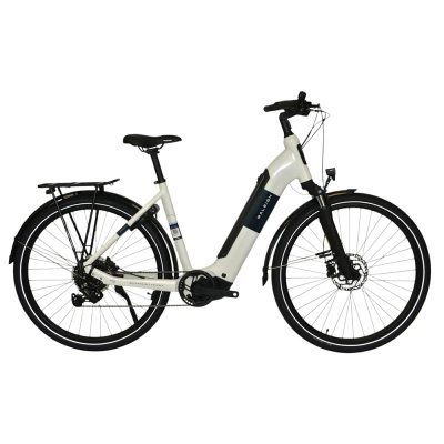 Nearly New Raleigh Motus Low Step 2026 Electric Hybrid Bike