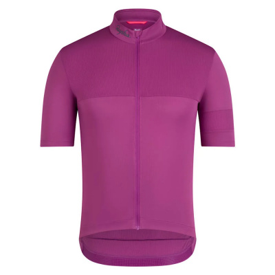 Rapha Brevet Element Men's Short Sleeve Jersey