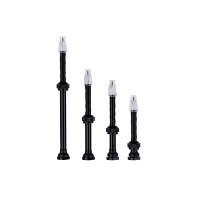 Vision Tubeless Valves