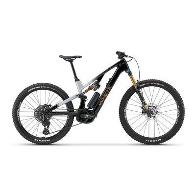 Whyte ELyte Evo Stag Works 2026 Electric MTB